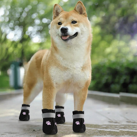 Non Slip Dog Socks