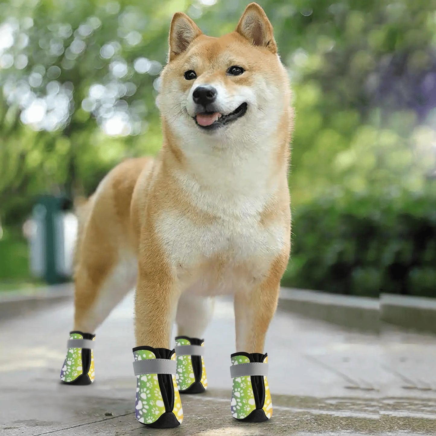Non Slip Dog Socks